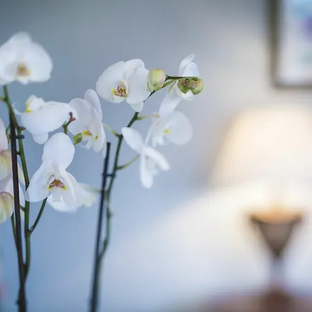 컨트리하우스 The Talbot, Malton, North Yorkshire - The Coaching Group 맬튼