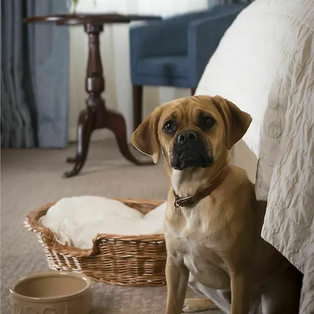 컨트리하우스 The Talbot, Malton, North Yorkshire - The Coaching Group 맬튼