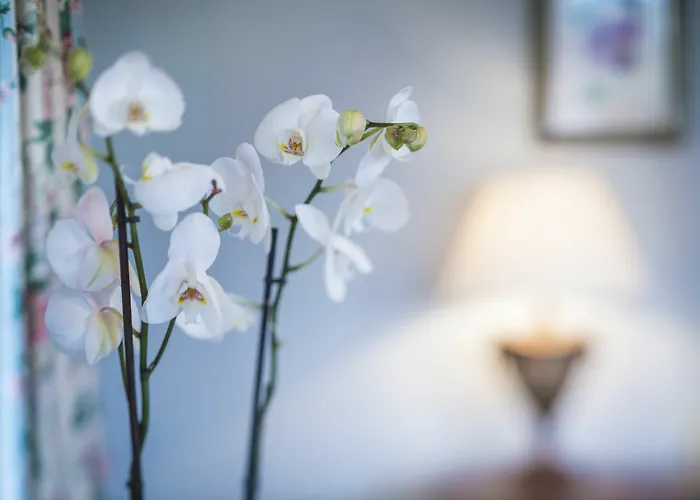 Hotel The Talbot, Malton, North Yorkshire - The Coaching Group Malton