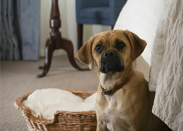 Hotel The Talbot, Malton, North Yorkshire - The Coaching Group Malton